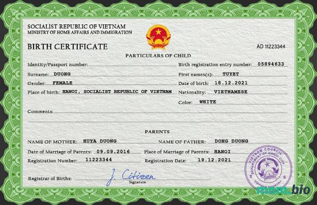 Vietnam narodziny certyfikat PSD szablon
